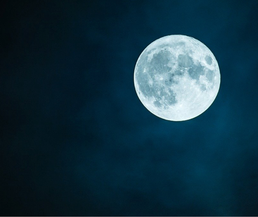 Moon / 月の繭　（PDFダウンロード商品)