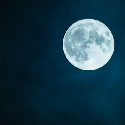 Moon / 月の繭